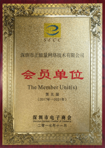 Member of Shenzhen Electronic <br/> Chamber of Commerce